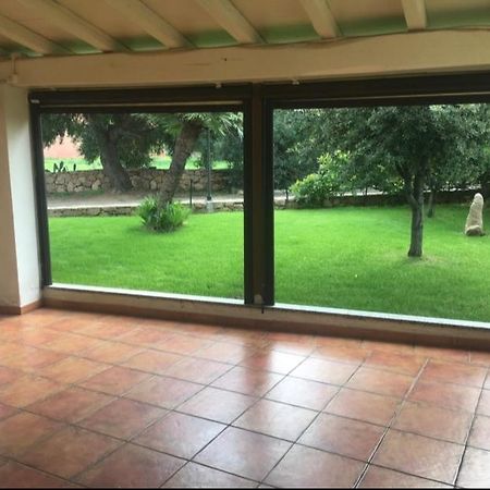 Hotel La Palma San Teodoro  Dış mekan fotoğraf